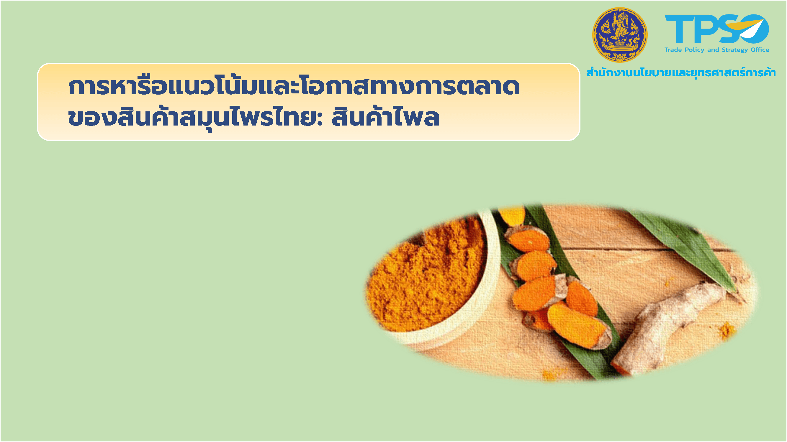 การหารือแนวโน้มและโอกาสทางการตลาดของสินค้าสมุนไพรไทย: สินค้าไพล