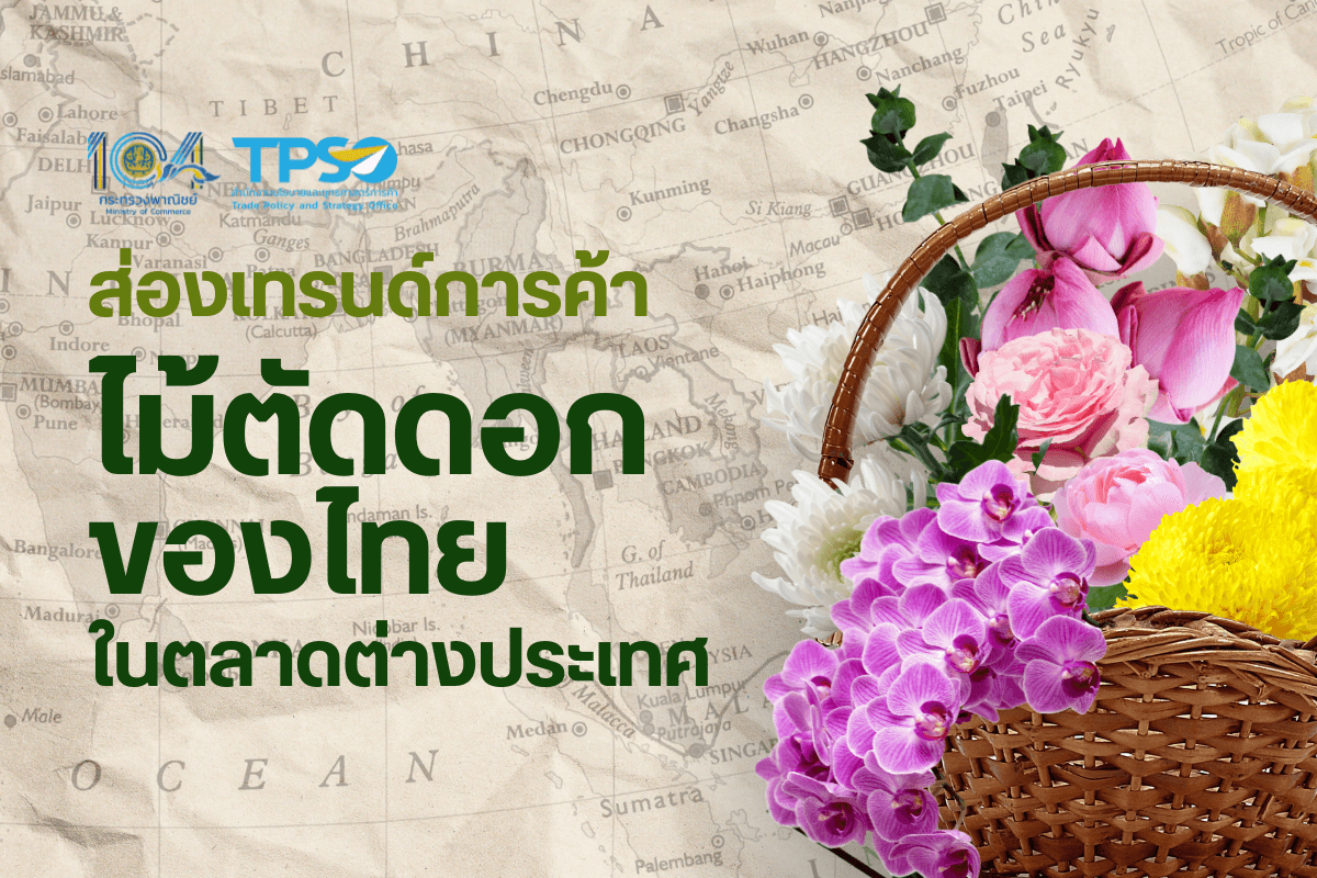 <p><strong>ดาวน์โหลดข้อมูลฉบับเต็ม:&nbsp;</strong><a href="https://uploads.tpso.go.th/ส่องเทรนด์การค้าไม้ตัดดอกของไทยในตลาดต่างประเทศ.pdf" target="_blank">ส่องเทรนด์การค้าไม้ตัดดอกของไทยในตลาดต่างประเทศ.pdf</a></p>

<p>&nbsp; &nbsp; &nbsp; &nbsp; &nbsp; นายพูนพงษ์ นัยนาภากรณ์ ผู้อำนวยการสำนักงานนโยบายและยุทธศาสตร์การค้า (ผอ.สนค.) กระทรวงพาณิชย์ เปิดเผยว่า สนค. ได้ติดตามสถานการณ์การค้าสินค้าไม้ตัดดอกของโลก โดยข้อมูลจากบริษัทวิจัยการตลาด marketsandmarkets ระบุว่า ตลาดไม้ตัดดอกของโลกเติบโตอย่างต่อเนื่องในช่วง 20 ปีที่ผ่านมา โดยในปี 2565 ตลาดไม้ตัดดอกของโลกมีมูลค่า 36,400 ล้านเหรียญสหรัฐ และคาดการณ์ว่าจะมีมูลค่าถึง 45,500 ล้านเหรียญสหรัฐ ภายในปี 2570 ซึ่งมีการนำมาใช้มากในธุรกิจบริการ (โรงแรม และร้านอาหาร) ตลอดจนงานเทศกาล หรือในโอกาสสำคัญต่าง ๆ&nbsp;</p>

<p>&nbsp; &nbsp; &nbsp; &nbsp; &nbsp; สำหรับสถิติการค้าระหว่างประเทศในปี 2566 การส่งออกไม้ตัดดอกของโลก (พิกัดศุลกากร 0603) มีมูลค่า 10,520 ล้านเหรียญสหรัฐ ประเทศที่มีมูลค่าการส่งออกสูงสุด 5 อันดับแรก ได้แก่ (1) เนเธอร์แลนด์ (สัดส่วนร้อยละ 46.8 ของมูลค่าการส่งออกไม้ตัดดอกของโลก) (2) โคลอมเบีย (ร้อยละ 19.8) (3) เอกวาดอร์ (ร้อยละ 9.4) (4) เคนยา (ร้อยละ 6.3) และ (5) เอธิโอเปีย (ร้อยละ 2.2) ขณะที่ไทยส่งออกเป็นอันดับที่ 12 ของโลก (ร้อยละ 0.7) สำหรับประเทศที่มีมูลค่าการนำเข้าสูงสุด 5 อันดับแรก ได้แก่ (1) สหรัฐอเมริกา (สัดส่วนร้อยละ 26.1 ของมูลค่าการนำเข้าไม้ตัดดอกของโลก) (2) เยอรมนี (ร้อยละ 13) (3) เนเธอร์แลนด์ (ร้อยละ 11.3) (4) สหราชอาณาจักร (ร้อยละ 7.7) และ (5) ฝรั่งเศส (ร้อยละ 3.9) โดยชนิดของไม้ตัดดอกที่เป็นที่นิยมมากที่สุด ได้แก่ กุหลาบ เบญจมาศ คาร์เนชั่น ลิลลี่ และกล้วยไม้ ตามลำดับ (ข้อมูลจาก Trademap.org)</p>

<p>&nbsp; &nbsp; &nbsp; &nbsp; &nbsp; การค้าไม้ตัดดอกของไทย ในปี 2567 ไทยส่งออกไม้ตัดดอก 21,135 ตัน เป็นมูลค่า 71.3 ล้านเหรียญสหรัฐ (2,503 ล้านบาท) ขยายตัวร้อยละ 2.5 จากปีก่อนหน้า โดยกล้วยไม้ (พิกัดศุลกากร 060313) เป็นสินค้าไม้ตัดดอกที่ไทยส่งออกมากที่สุด มีปริมาณ 19,129 ตัน คิดเป็นมูลค่า 62.1 ล้านเหรียญสหรัฐ (2,181 ล้านบาท) ขยายตัวร้อยละ 1.4 จากปีก่อนหน้า ตลาดส่งออกกล้วยไม้ที่สำคัญของไทย 5 อันดับแรก ได้แก่ (1) สหรัฐอเมริกา (สัดส่วนร้อยละ 24.7 ของมูลค่าการส่งออกกล้วยไม้ของไทย) (2) เวียดนาม (ร้อยละ 22.8) (3) ญี่ปุ่น (ร้อยละ 17.1) (4) จีน (ร้อยละ 12.3) และ (5) อิตาลี (ร้อยละ 4.8) (ข้อมูลจาก Tradereport.moc.go.th)<br />
&nbsp; &nbsp; &nbsp; &nbsp; &nbsp; หากพิจารณาตลาดส่งออกกล้วยไม้ของไทยข้างต้น พบว่าในปี 2566&nbsp;<br />
&nbsp; &nbsp; &nbsp; &nbsp; &nbsp; - สหรัฐฯ : นำเข้ากล้วยไม้จากไทยเป็นอันดับ 1 ร้อยละ 50.0 ของการนำเข้าจากโลก<br />
&nbsp; &nbsp; &nbsp; &nbsp; &nbsp; - เวียดนาม : นำเข้ากล้วยไม้จากไทยเป็นอันดับ 1 ร้อยละ 100.0 ของการนำเข้าจากโลก<br />
&nbsp; &nbsp; &nbsp; &nbsp; &nbsp; - ญี่ปุ่น : นำเข้ากล้วยไม้จากไทยเป็นอันดับ 2 ร้อยละ 26.7 ของการนำเข้าจากโลก (นำเข้าจากจีนไทเป มากเป็นอันดับ 1 มีสัดส่วนร้อยละ 56.4 ของการนำเข้าจากโลก)<br />
&nbsp; &nbsp; &nbsp; &nbsp; &nbsp; - จีน : นำเข้ากล้วยไม้จากไทยเป็นอันดับ 1 ร้อยละ 95.1 ของการนำเข้าจากโลก&nbsp;<br />
&nbsp; &nbsp; &nbsp; &nbsp; &nbsp; - อิตาลี : นำเข้ากล้วยไม้จากไทยเป็นอันดับ 2 ร้อยละ 47.2 ของการนำเข้าจากโลก (นำเข้าจากเนเธอร์แลนด์ มากเป็นอันดับ 1 มีสัดส่วนร้อยละ 52.6 ของการนำเข้าจากโลก)<br />
&nbsp; &nbsp; &nbsp; &nbsp; &nbsp; ทั้งนี้ ในปี 2566 ไทยมีมูลค่าการส่งออกกล้วยไม้เป็นอันดับที่ 2 ของโลก มีสัดส่วนร้อยละ 33.4 ของมูลค่าการส่งออกกล้วยไม้ของโลก รองจากเนเธอร์แลนด์ ที่มีสัดส่วนร้อยละ 37.3 (ข้อมูลจาก Trademap.org)</p>

<p>&nbsp; &nbsp; &nbsp; &nbsp; &nbsp; สำหรับการผลิตไม้ดอกที่สำคัญของไทย ในปี 2566&nbsp;<br />
&nbsp; &nbsp; &nbsp; &nbsp; &nbsp; - กล้วยไม้ มีพื้นที่เก็บเกี่ยว 196,226 ไร่ ปริมาณผลผลิต 44,080 ตัน ปลูกมากในจังหวัดนครปฐม สมุทรสาคร และราชบุรี&nbsp;<br />
&nbsp; &nbsp; &nbsp; &nbsp; &nbsp; - บัวหลวง มีพื้นที่เก็บเกี่ยว 17,360 ไร่ ปริมาณผลผลิต 22,776 ตัน ปลูกมากในจังหวัดนนทบุรี สุพรรณบุรี และอุบลราชธานี&nbsp;<br />
&nbsp; &nbsp; &nbsp; &nbsp; &nbsp; - ดาวเรือง มีพื้นที่เก็บเกี่ยว 3,722 ไร่ ปริมาณผลผลิต 2,844 ตัน ปลูกมากในจังหวัดบุรีรัมย์ นครราชสีมา และจันทบุรี&nbsp;<br />
&nbsp; &nbsp; &nbsp; &nbsp; &nbsp; - กุหลาบ มีพื้นที่เก็บเกี่ยว 1,063 ไร่ ปริมาณผลผลิต 861 ตัน ปลูกมากในจังหวัดตาก เชียงใหม่ และเชียงราย&nbsp;</p>

<p>&nbsp; &nbsp; &nbsp; &nbsp; &nbsp; ผอ. สนค. กล่าวทิ้งท้ายว่า ภายหลังสถานการณ์โควิด-19 การส่งออกไม้ตัดดอกของไทยกลับมาเติบโตอย่างต่อเนื่อง โดยเฉพาะกล้วยไม้ที่สามารถครองตลาดทั่วโลก แสดงให้เห็นถึงโอกาสที่ผู้ประกอบการไทยจะสามารถคว้าส่วนแบ่งตลาดโลกได้เพิ่มขึ้น ดังนั้น เพื่อเป็นการส่งเสริมการค้าไม้ตัดดอกและกล้วยไม้ของไทย จึงควรสนับสนุนผู้ประกอบการให้นำนวัตกรรมและเทคโนโลยีมาใช้ ตั้งแต่การวิจัยและพัฒนาพันธุ์ใหม่ และการจัดการโลจิสติกส์ที่ควบคุมคุณภาพการขนส่งตลอดห่วงโซ่อุปทาน นอกจากนี้ ควรผลักดันการสร้างชื่อเสียงและความต้องการใช้ดอกไม้ไทยให้เป็นที่รู้จักทั่วโลก ได้แก่ ส่งเสริมการท่องเที่ยวเชิงเกษตรสวนดอกไม้สำหรับนักท่องเที่ยวต่างชาติ ตลอดจนการใช้ดอกไม้ไทยในเทศกาลหรือกิจกรรมสำคัญระดับประเทศและโลก เพื่อสร้างโอกาสการส่งออกไม้ตัดดอกของไทย สร้างรายได้ให้เกษตรกรและนำรายได้เข้าประเทศเพิ่มมากขึ้น</p>

