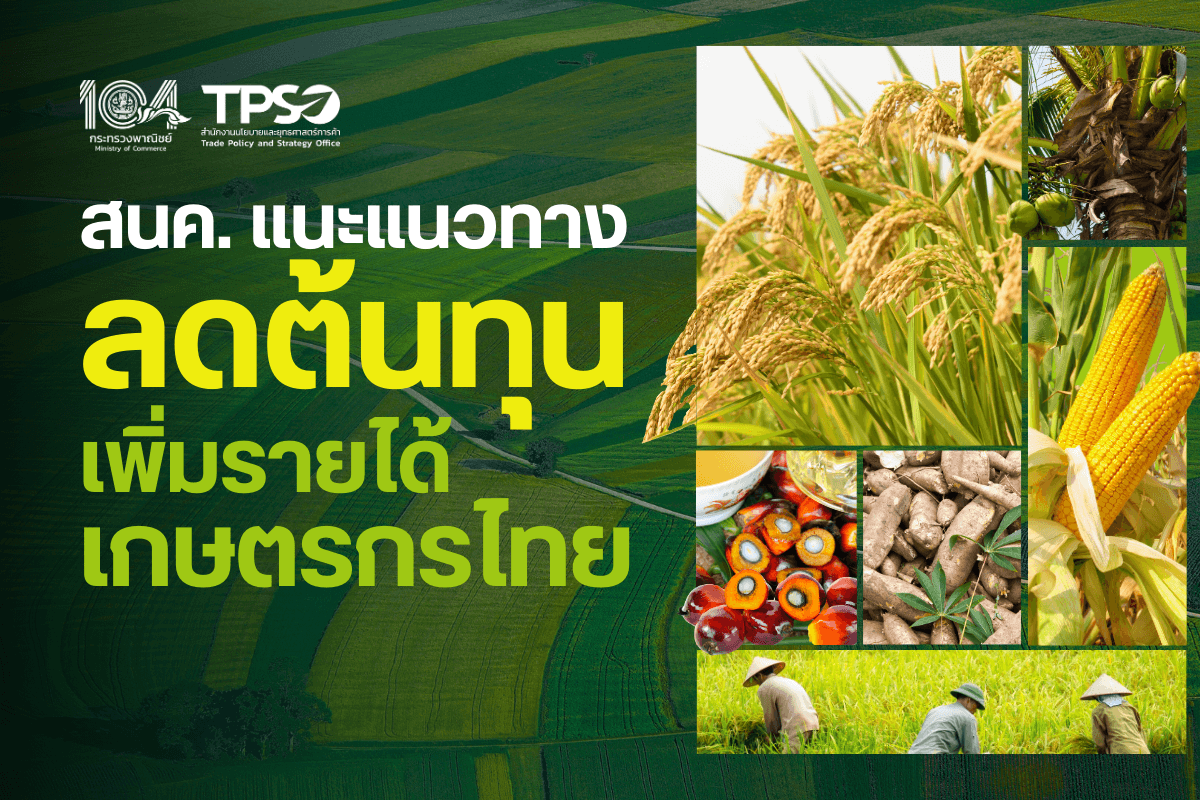 สนค. แนะแนวทางลดต้นทุน เพิ่มรายได้เกษตรกรไทย