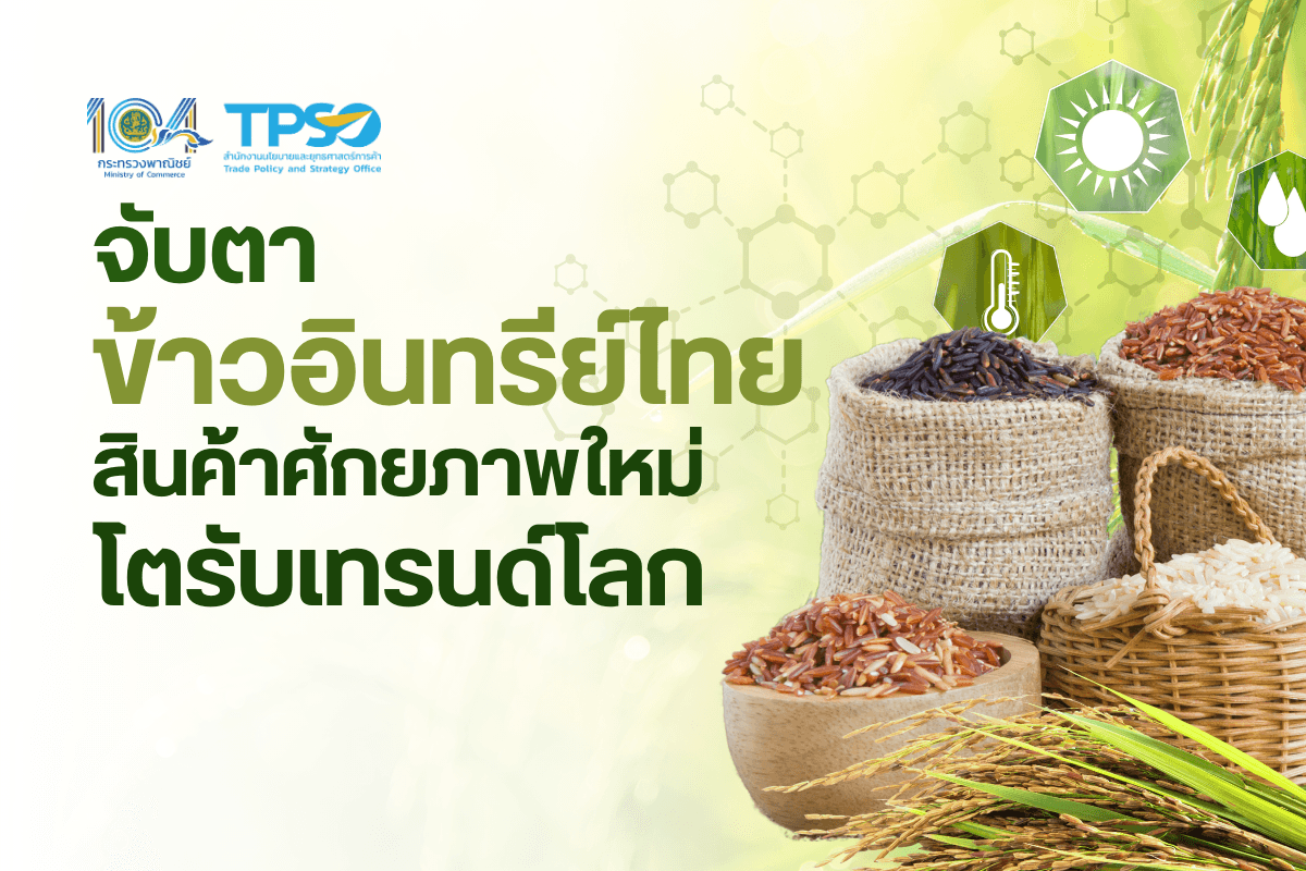 จับตาข้าวอินทรีย์ไทย สินค้าศักยภาพใหม่ โตรับเทรนด์โลก