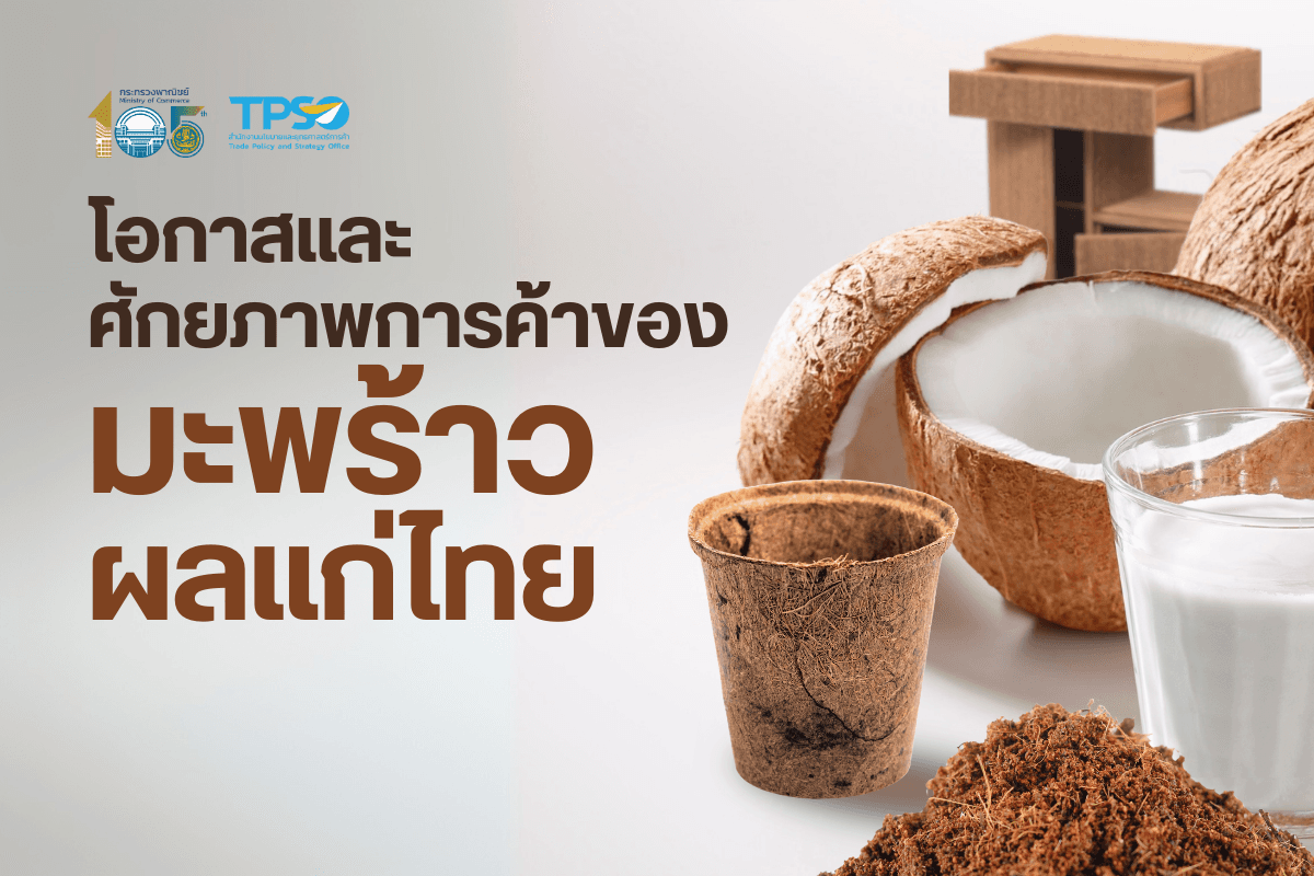 โอกาสและศักยภาพการค้าของมะพร้าวผลแก่ไทย