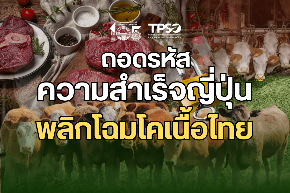 <p><strong>ดาวน์โหลดข้อมูลฉบับเต็ม:&nbsp;</strong><a href="https://uploads.tpso.go.th/editor/pdf/1772071467_3b49ced3334b497ff38e.pdf" target="_blank">1772071467_3b49ced3334b497ff38e.pdf</a></p>

<p>&nbsp; &nbsp; &nbsp; &nbsp; &nbsp; นายนันทพงษ์ จิระเลิศพงษ์ ผู้อำนวยการสำนักงานนโยบายและยุทธศาสตร์การค้า (สนค.) เปิดเผยว่า สนค. ได้ศึกษาความสำเร็จของอุตสาหกรรมโคเนื้อของญี่ปุ่น โดยเฉพาะเนื้อวากิว ที่ถือเป็นตัวอย่างความสำเร็จของการพัฒนาสินค้าเกษตรมูลค่าสูงที่ได้รับการยอมรับในตลาดโลก แม้ญี่ปุ่นจะไม่ได้เป็นประเทศผู้ส่งออกเนื้อโครายใหญ่ในเชิงปริมาณ แต่สามารถสร้างมูลค่าการส่งออกต่อหน่วยได้สูงกว่าประเทศคู่แข่งอย่างมีนัยสำคัญ&nbsp;</p>

<p>&nbsp; &nbsp; &nbsp; &nbsp; &nbsp; การผลิต &ldquo;โคเนื้อ&rdquo; ในญี่ปุ่น มีบทบาทสำคัญต่อภาคการเกษตรของญี่ปุ่น ด้วยสัดส่วนผลผลิตที่ 39.2% ของภาคการเกษตร<sup>1</sup>&nbsp;ญี่ปุ่นแบ่งการผลิตเนื้อโคเป็น 3 ประเภทหลัก ได้แก่ โควากิว โคลูกผสม (F1) และโคนม&nbsp;โดยโควากิวเป็นกลุ่มสินค้าพรีเมียมที่มูลค่าสูงสุด ขณะที่โคลูกผสมและเนื้อจากโคนมมีบทบาทสำคัญในการตอบสนองตลาดบริโภคทั่วไปภายในประเทศ</p>

<p>&nbsp; &nbsp; &nbsp; &nbsp; &nbsp; นายนันทพงษ์ฯ กล่าวต่อไปว่า แม้ว่าปริมาณการผลิตเนื้อโคในญี่ปุ่นจะเพิ่มขึ้น แต่ไม่เพียงพอต่อความต้องการบริโภค ญี่ปุ่นพึ่งพาการนำเข้าเนื้อโคจากต่างประเทศเป็นจำนวนมาก แต่สิ่งสำคัญ คือ กลยุทธ์ของ &ldquo;มูลค่า&rdquo; มากกว่า &ldquo;ปริมาณ&rdquo; โดยญี่ปุ่นสามารถวางตำแหน่งเนื้อโคส่งออกในตลาดระดับพรีเมียม มีราคาส่งออกต่อหน่วยสูงกว่าประเทศผู้ส่งออกรายสำคัญของโลก เช่น ออสเตรเลีย สหรัฐฯ และแคนาดา สะท้อนความสามารถในการสร้างมูลค่าเพิ่มผ่านคุณภาพ มาตรฐาน และภาพลักษณ์สินค้า</p>

<p>&nbsp; &nbsp; &nbsp; &nbsp; &nbsp; ข้อมูลจาก Trademap (ณ มกราคม 2569) ในปี 2567 ญี่ปุ่นส่งออกเนื้อโคสดหรือแช่เย็น&nbsp;(พิกัดศุลกากร 0201) เป็นปริมาณ 4,777 ตัน มูลค่ากว่า 216 ล้านเหรียญสหรัฐ และมีราคาต่อหน่วย&nbsp;45,251 เหรียญสหรัฐต่อตัน ซึ่งเป็นราคาต่อหน่วยที่สูงมากเมื่อเทียบกับประเทศผู้ส่งออกรายสำคัญของโลก&nbsp;เช่น สหรัฐอเมริกา ออสเตรเลีย และเนเธอร์แลนด์ (11,376 10,421 และ 8,338 เหรียญสหรัฐต่อตัน ตามลำดับ) สำหรับเนื้อโคแช่แข็ง (พิกัดศุลกากร 0202) ญี่ปุ่นส่งออก 5,336 ตัน มูลค่ากว่า 204 ล้านเหรียญสหรัฐ&nbsp;มีราคาต่อหน่วย 38,269 เหรียญสหรัฐต่อตัน สูงกว่าคู่แข่งในตลาดโลกอย่างชัดเจน เทียบกับสหรัฐฯ ออสเตรเลีย และบราซิล (8,187 5,317 และ 4,478 เหรียญสหรัฐต่อตัน)&nbsp;</p>

<p>&nbsp; &nbsp; &nbsp; &nbsp; &nbsp; หัวใจสำคัญของความสำเร็จ คือ การบริหารจัดการห่วงโซ่คุณค่าอย่างบูรณาการ ตั้งแต่ต้นน้ำ กลางน้ำ และปลายน้ำ ในส่วนต้นน้ำ ญี่ปุ่นให้ความสำคัญกับการปรับปรุงและขยายพันธุ์ ควบคุมคุณภาพและสุขภาพสัตว์อย่างเข้มงวด นำเทคโนโลยีสมัยใหม่ เช่น AI และ IoT มาใช้จัดการฟาร์ม และส่งเสริมการรวมกลุ่มเกษตรกรในรูปแบบคลัสเตอร์ ขั้นกลางน้ำ ครอบคลุมการแปรรูป จัดระดับคุณภาพ และควบคุมมาตรฐานความปลอดภัยอาหาร รวมถึงใช้ระบบโลจิสติกส์ควบคุมอุณหภูมิ (Cold Chain) เพื่อรักษาคุณภาพสินค้า สำหรับขั้นปลายน้ำ&nbsp;เน้นการสร้างแบรนด์และความเชื่อมั่นผู้บริโภค ผ่านเครื่องหมายรับรองเนื้อวากิวสากล (Universal Wagyu Mark) และระบบตรวจสอบย้อนกลับ ช่วยยืนยันแหล่งที่มาและคุณภาพสินค้าอย่างโปร่งใส กรณีญี่ปุ่นสะท้อนว่า&nbsp;แม้ประเทศจะมีข้อจำกัดด้านพื้นที่การเลี้ยง แต่สามารถพัฒนาอุตสาหกรรมโคเนื้อให้มีมูลค่าสูงและแข่งขันได้ในตลาดโลก ผ่านการบริหารจัดการตลอดห่วงโซ่คุณค่าอย่างเป็นระบบ เน้นการเพิ่ม &ldquo;มูลค่า&rdquo; มากกว่าเพิ่ม &ldquo;ปริมาณ&rdquo; ซึ่งแนวทางดังกล่าวสามารถประยุกต์ใช้กับไทย ซึ่งมีข้อจำกัดด้านพื้นที่การเลี้ยงและต้นทุนการผลิต</p>

<p>&nbsp; &nbsp; &nbsp; &nbsp; &nbsp; ศาสตราจารย์เกียรติคุณ ดร.ศรเทพ ธัมวาสร ที่ปรึกษา สมาคมสัตวบาลแห่งประเทศไทย ให้ข้อมูลว่า ประเทศไทยมีโคเนื้อประมาณ 9.4 - 9.9 ล้านตัว โดยโคขุนคุณภาพสูงมีสัดส่วนเพียง 7% สำหรับปัญหาหลักที่ขัดขวางการส่งออก คือ &ldquo;โรคระบาด&rdquo; และความไม่สม่ำเสมอของมาตรฐานการเลี้ยงแบบรายย่อยที่ขาดการควบคุมความปลอดภัยทางชีวภาพ (Biosecurity) และมีข้อเสนอการพัฒนาสู่ความเชื่อมั่นระดับสากล ดังนี้ (1) การจัดการพันธุกรรมด้วยระบบสามสายเลือด พัฒนาลูกผสมระหว่างสายพันธุ์ยุโรปและพื้นเมืองบราห์มันร่วมกันกับสายพันธุ์วากิว โดยรักษาลักษณะดีเด่นของลูกผสม (ค่า Heterosis) ไว้ที่ 67% เพื่อให้ได้โคที่แข็งแรง เติบโตเร็ว&nbsp;และมีคุณภาพเนื้อตอบโจทย์ความต้องการของตลาดทุกระดับ (2) การจัดทำพื้นที่ Sandbox ในรูปแบบ&nbsp;&ldquo;นิคมอุตสาหกรรมโคเนื้อเกรดพรีเมียม&rdquo; ยกระดับการผลิตจากฟาร์มกระจัดกระจายสู่การบริหารจัดการพื้นที่แบบนิคมปิด (Zoning) เพื่อสร้างเขตปลอดโรคระบาดที่เป็นมาตรฐานสากล และสามารถบังคับใช้เกณฑ์มาตรฐานฟาร์มคุณภาพ (GAP/GFM) ได้เบ็ดเสร็จ 100% สร้างความมั่นใจว่าเนื้อโคไทยมีความปลอดภัยและตรวจสอบย้อนกลับได้ด้วย AI และ IoT (3) การผลิตแบบ Zero Waste และความยั่งยืน โดยบูรณาการระบบ Sandbox&nbsp;เข้ากับเทคโนโลยีพลังงานสะอาด เปลี่ยนมูลสัตว์จากนิคมให้เป็นก๊าซชีวภาพ (Biogas) และพลังงานไฟฟ้า&nbsp;เพื่อสร้างภาพลักษณ์ &ldquo;Green &amp; Clean Beef&rdquo; ลดคาร์บอนฟุตพริ้นท์ และสร้างอำนาจต่อรองทางการค้าในเวทีโลก และ (4) ความสม่ำเสมอด้วยระบบอาหารแม่นยำ (Total Mixed Ration: TMR) ใช้ระบบอาหารผสมเสร็จควบคุมโภชนาการ เพื่อให้เนื้อโคในนิคม Sandbox มีคุณภาพสม่ำเสมอ</p>

<p>&nbsp; &nbsp; &nbsp; &nbsp; &nbsp; นายสิทธิพร บุรณนัฏ อุปนายกสมาคมโคเนื้อแห่งประเทศไทย ให้ความเห็นว่า ในด้านการตลาดเราเสียตลาดโมเดิร์นเทรดให้กับออสเตรเลียและนิวซีแลนด์จากการเปิดเสรีการค้า โดยทั้งสองประเทศส่งเนื้อโคกินหญ้า (Grass Fed) ซึ่งมีต้นทุนต่ำกว่าวัวที่กินธัญพืช (Grain Fed) และขุนนานไม่เกิน 4 เดือนเข้ามาตีตลาดไทย แต่ประเทศไทยมีระบบน้ำในการปลูกหญ้าที่สมบูรณ์กว่า และเรามีผลพลอยได้ (By Product) คือกากมันจากโรงผลิตแป้งซึ่งมีต้นทุนต่ำ สามารถนำมาหมักยีสต์เพื่อเพิ่มโปรตีน และใช้เสริมในการขุนให้กับโคกินหญ้าเพื่อให้โตไว แต่ปัญหาของเราคือขาดการรวมกลุ่มผลิตอย่างจริงจัง ปัจจุบันเรามีสหกรณ์ที่ผลิตเนื้อโคพรีเมียมที่ต้องใช้เวลาขุนที่ยาวกว่า ทั้งนี้ หากคิดราคาต้นทุนวัวกินหญ้าที่หน้าคอกจะอยู่ที่ 70 บาท/กิโลกรัม เมื่อรวมค่าขนส่งถึงโรงฆ่าอีก 10 บาท/กิโลกรัม ราคาจะอยู่ที่ 80 บาท/กิโลกรัม จึงเป็นราคาที่เราแข่งขันได้ ซึ่งเนื้อวัวออสเตรเลียมีราคาเฉลี่ยทุกชิ้นส่วนเมื่อส่งถึงโมเดิร์นเทรดอยู่ที่ 320-350 บาท/กิโลกรัม ดังนั้น ถ้าประเทศไทยเพิ่มพื้นที่ในเขตชลประทานเพื่อเลี้ยงวัวกินหญ้าก็จะสามารถแข่งขันได้&nbsp;</p>

<p>&nbsp; &nbsp; &nbsp; &nbsp; &nbsp; นายนันทพงษ์ กล่าวทิ้งท้ายว่า &ldquo;ไทยมีโอกาสเป็นศูนย์กลางการผลิตและส่งออกโคมีชีวิตและเนื้อโคในตลาดอาเซียน เนื่องจากมีทำเลที่ตั้งเหมาะสม มีโครงสร้างพื้นฐานการเลี้ยงและการขนส่งที่ดี และมีโอกาสขยายการส่งออกไปยังตลาดศักยภาพสูง เช่น จีน และตะวันออกกลาง หากไทยสามารถยกระดับคุณภาพเนื้อได้รับสถานะปลอดโรค และมีระบบตรวจสอบย้อนกลับที่เชื่อถือได้ นอกจากนี้ ตลาดภายในประเทศที่แข็งแกร่งถือเป็นรากฐานสำคัญที่จะสนับสนุนให้อุตสาหกรรมโคเนื้อไทยเติบโต จึงขอชวนคนไทยให้บริโภคเนื้อโคไทย&nbsp;เพื่อส่งเสริมเกษตรกรไทยที่มีความมุ่งมั่นตั้งใจในการผลิตเนื้อโคคุณภาพให้มีความมั่นคงทางรายได้ และเพื่อความมั่นคงทางอาหารของประเทศต่อไป&rdquo;</p>

<p>&nbsp; &nbsp; &nbsp; &nbsp; &nbsp;สำหรับการค้าโคเนื้อของไทย ในปี 2568 ไทยส่งออกโคมีชีวิต (พิกัดศุลกากร 0102) 548,594 ตัว มูลค่า 351.8 ล้านเหรียญสหรัฐ (11,474.3 ล้านบาท) มูลค่าการส่งออกโคมีชีวิตเติบโตถึง 182.6% จากปีก่อนหน้า โดยมีตลาดส่งออกสำคัญ คือ เวียดนาม สปป.ลาว และมาเลเซีย โดยมีสัดส่วน 66.0% 25.6% และ 8.1% ของมูลค่าการส่งออกโคมีชีวิตของไทย ตามลำดับ ขณะที่ไทยมีความต้องการนำเข้าเนื้อโค (พิกัดศุลกากร 0201 และ 0202) โดยนำเข้า 32,257.3 ตัน มูลค่า 312.45 ล้านเหรียญสหรัฐ (10,372.8 ล้านบาท) มูลค่าการนำเข้าเนื้อโคเติบโต 22.5% โดยไทยนำเข้าจากออสเตรเลีย ญี่ปุ่น และนิวซีแลนด์ มีสัดส่วน 81.3% 9.7% และ 7.3% ของมูลค่าการนำเข้าเนื้อโคของไทย ตามลำดับ &nbsp;</p>

<hr />
<p><sup>1</sup>&nbsp;https://www.nippon.com/en/japan-data/h02433/</p>
