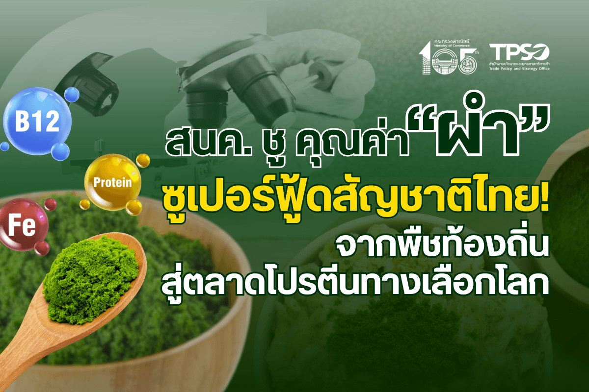 ชู “ผำ” ซูเปอร์ฟู้ดสัญชาติไทย! สนค. ชี้เป้าขุมทรัพย์ใหม่ ดัน Future Food ไทยผงาดตลาดโปรตีนพืชโลก