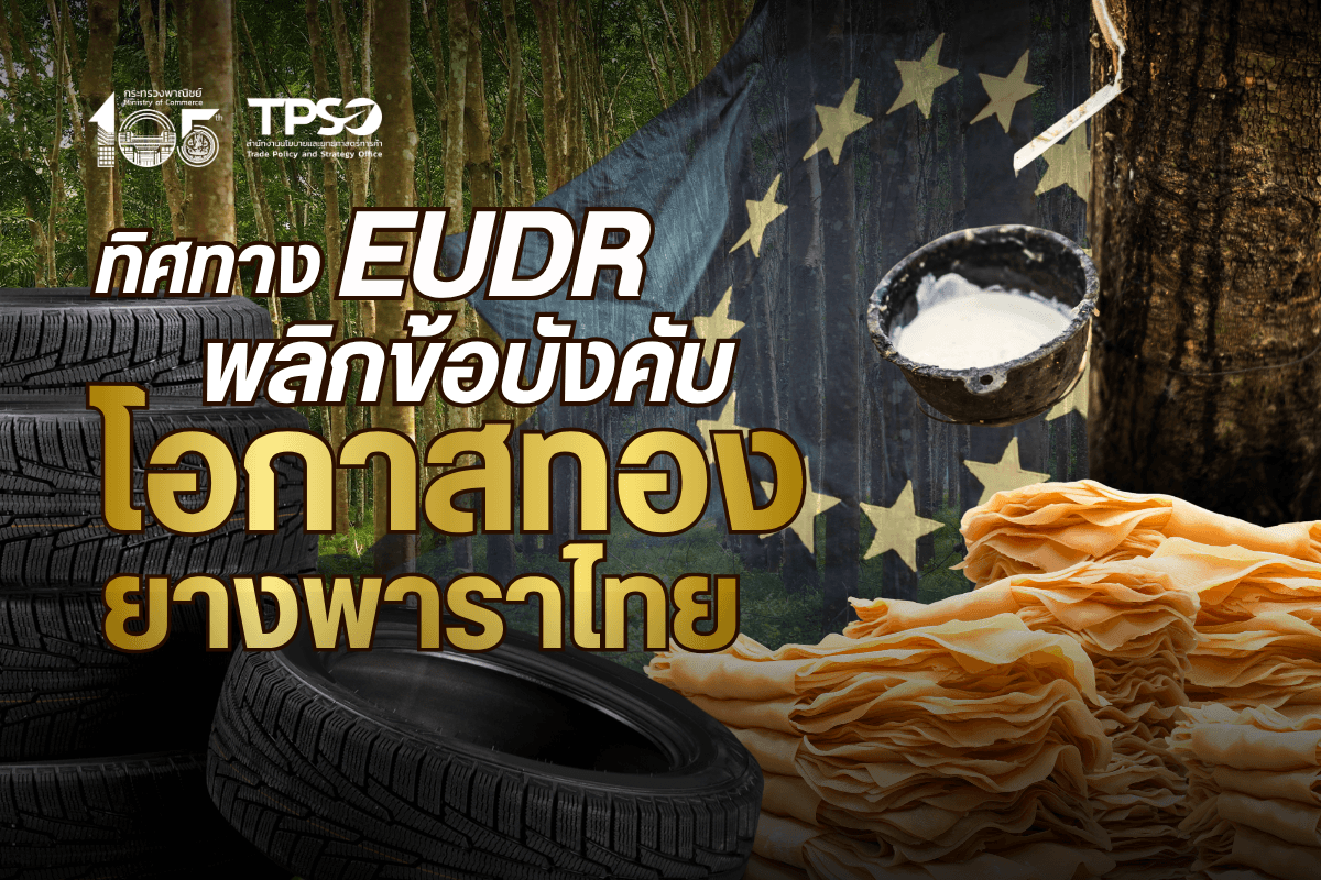 <p><strong>ดาวน์โหลดข้อมูลฉบับเต็ม:&nbsp;</strong><a href="https://uploads.tpso.go.th/editor/pdf/1784080572_219c6259af61bebf1eb5.pdf" target="_blank">1784080572_219c6259af61bebf1eb5.pdf</a></p>

<p>&nbsp; &nbsp; &nbsp; &nbsp; &nbsp; นายนันทพงษ์ จิระเลิศพงษ์ ผู้อำนวยการสำนักงานนโยบายและยุทธศาสตร์การค้า กระทรวงพาณิชย์ เปิดเผยว่า สนค. ได้ติดตามสถานการณ์ส่งออกสินค้าเกษตรไทยภายใต้กฎหมายว่าด้วยสินค้าที่ปลอดจากการตัดไม้ทำลายป่า (European Union Deforestation Regulation: EUDR) ของสหภาพยุโรป (EU) ซึ่ง EUDR ครอบคลุมสินค้าเกษตร 7 กลุ่ม<sup>1</sup>&nbsp;ได้แก่ ยางพารา ปาล์มน้ำมัน กาแฟ โกโก้ ถั่วเหลือง โค และไม้ รวมถึงผลิตภัณฑ์แปรรูปที่มีส่วนประกอบของสินค้าดังกล่าวโดย "ยางพารา" เป็นสินค้าสำคัญในกลุ่มนี้ที่ไทยส่งออกไป EU และมีบทบาทนำในการขับเคลื่อนให้ภาคการผลิตไทยเร่งปรับตัวสู่มาตรฐานด้านความยั่งยืน ข้อมูลจาก ITC Trade Map<sup>2</sup>&nbsp;พบว่า ในช่วงระหว่างปี 2564 - 2568 ไทยมีส่วนแบ่งตลาดสินค้ายางธรรมชาติ (HS 4001) ใน EU เฉลี่ยร้อยละ 20.3 ของมูลค่าการนำเข้ายางของ EU จากทั่วโลก สะท้อนบทบาทของไทยในฐานะแหล่งซัพพลายยางธรรมชาติให้กับ EU</p>

<p>&nbsp; &nbsp; &nbsp; &nbsp; &nbsp; EUDR กำหนดให้ผู้ประกอบการ (Operator) ที่นำเข้าหรือส่งออกสินค้าจาก EU ต้องตรวจสอบสถานะ (Due Diligence) เพื่อยืนยันว่าสินค้าไม่ได้มาจากการตัดไม้ทำลายป่า และผลิตถูกต้องตามกฎหมายของประเทศผู้ผลิต โดยต้องทำ Due Diligence Statement (DDS) ผ่านระบบสารสนเทศ (Information System) ก่อนนำสินค้าเข้าหรือออก ซึ่ง EUDR จะมีผลบังคับใช้กับผู้ประกอบการขนาดใหญ่และกลาง ตั้งแต่วันที่ 30 ธันวาคม 2569 ส่วนผู้ประกอบการขนาดเล็กและรายย่อย ตั้งแต่วันที่ 30 มิถุนายน 2570 เป็นต้นไป&nbsp;</p>

<p>&nbsp; &nbsp; &nbsp; &nbsp; &nbsp; ทั้งนี้ เมื่อวันที่ 22 พฤษภาคม 2568 คณะกรรมาธิการยุโรปได้ประกาศกฎหมายลำดับรอง (Implementing Regulation) จัดอันดับความเสี่ยงด้านการตัดไม้ทำลายป่าทั่วโลก แบ่งเป็น 3 ระดับ ได้แก่ ความเสี่ยงต่ำ (Low Risk) 140 ประเทศ ความเสี่ยงมาตรฐาน (Standard Risk) 50 ประเทศ และความเสี่ยงสูง (High Risk) 4 ประเทศ ซึ่งไทยถูกจัดอยู่ในกลุ่ม Low Risk ทำให้ผู้นำเข้าที่จัดหาสินค้าจากไทยได้รับสิทธิ์ Simplified Due Diligence และมีอัตราการตรวจสอบเพียงร้อยละ 1 ซึ่งช่วยลดภาระและต้นทุนการนำเข้า ขณะที่อินโดนีเซีย และมาเลเซีย ถูกจัดอยู่ในกลุ่ม Standard Risk ที่ต้องทำ Full Due Diligence ด้วยอัตราการตรวจสอบร้อยละ 3 สร้างความได้เปรียบทางการค้าให้สินค้ายางของไทย</p>

<p>&nbsp; &nbsp; &nbsp; &nbsp; &nbsp; สำหรับประเทศไทยสถานการณ์การส่งออกยางพาราและผลิตภัณฑ์<sup>3</sup>&nbsp;จากไทยไป EU ในช่วงปี 2564 - 2568 ผันผวนตามสภาวะเศษฐกิจโลกและราคาสินค้าโภคภัณฑ์ โดยในปี 2565 ซึ่งเป็นปีก่อนการประกาศใช้ EUDR ไทยส่งออกไป EU เป็นมูลค่า 2,237.85 ล้านเหรียญสหรัฐ ก่อนจะหดตัวในปี 2566 เหลือ 1,581.43 ล้านเหรียญสหรัฐ (หดตัวร้อยละ 29.3) เนื่องจาก EU เผชิญภาวะเงินเฟ้อสูงและอัตราดอกเบี้ยเพิ่มขึ้น ส่งผลให้กำลังซื้อและการผลิตภาคอุตสาหกรรมลดลง และในปี 2567 การส่งออกยางพาราจากไทยไป EU กลับมาขยายตัว มีมูลค่าการส่งออก 1,871.62 ล้านเหรียญสหรัฐ (ขยายตัวร้อยละ 18.35)</p>

<p>&nbsp; &nbsp; &nbsp; &nbsp; &nbsp; สำหรับปี 2568 ไทยส่งออกยางพาราจากไทยไป EU มีมูลค่า 1,881.21 ล้านเหรียญสหรัฐ (ขยายตัวร้อยละ 0.51) แบ่งเป็นสินค้ายางธรรมชาติ 579.71 ล้านเหรียญสหรัฐ และผลิตภัณฑ์ยาง 1,301.50 &nbsp;ล้านเหรียญสหรัฐ <u>กลุ่มผลิตภัณฑ์ยาง มีสัดส่วนสูงถึงร้อยละ 69.18 ของมูลค่ายางพาราทั้งหมดที่ EU นำเข้าจากไทย ขณะที่ยางธรรมชาติขั้นต้น คิดเป็นร้อยละ 30.82</u> แสดงให้เห็นว่าไทยมิได้พึ่งพาการส่งออกวัตถุดิบขั้นต้นเพียงอย่างเดียว แต่ยกระดับสู่ผลิตภัณฑ์แปรรูปที่มีมูลค่าเพิ่มสูงมากขึ้น ทั้งนี้ กลุ่มผลิตภัณฑ์ยางมีแนวโน้มปรับตัวด้านการตรวจสอบย้อนกลับและมาตรฐานที่เกี่ยวข้อง เพื่อรองรับมาตรการ EUDR ได้ดีกว่ายางธรรมชาติขั้นต้น โดยสินค้าในกลุ่มผลิตภัณฑ์ยางที่เป็นตัวขับเคลื่อนหลักที่สำคัญ ได้แก่ <strong>ยางยานพาหนะ</strong> คิดเป็นสัดส่วนร้อยละ 66.68 ของผลิตภัณฑ์ยางที่ส่งออกทั้งหมด และ<strong>ถุงมือยาง</strong> คิดเป็นสัดส่วนร้อยละ 20.18 ของผลิตภัณฑ์ยางที่ส่งออกทั้งหมด&nbsp;</p>

<p>&nbsp; &nbsp; &nbsp; &nbsp; &nbsp; <strong>นางบุณยนุช ศรีบุญแก้ว หัวหน้ากองพัฒนาตลาดยางพารา การยางแห่งประเทศไทย</strong> กล่าวว่า การที่ประเทศไทยถูกจัดอยู่ในกลุ่มประเทศความเสี่ยงต่ำ (Low Risk) มาตั้งแต่เริ่มประกาศมาตรการ EUDR ถือเป็นแต้มต่อในการเตรียมความพร้อมรองรับการดำเนินการตามมาตรการต่าง ๆ ของ EU ในอนาคต และช่วยสร้างความมั่นใจให้กับประเทศคู่ค้า ทั้งนี้ <u>ยางพาราและผลิตภัณฑ์ที่สอดคล้องกับข้อกำหนดสามารถขายได้ราคาสูงกว่ายางทั่วไป และไม่เพียงตอบโจทย์ตลาดสหภาพยุโรปเท่านั้น แต่ยังเอื้อต่อการขยายตลาดอื่นที่ให้ความสำคัญกับมาตรฐานและความยั่งยืน เช่น ญี่ปุ่น</u> อย่างไรก็ตาม ไทยยังเผชิญความท้าทายในการจัดเก็บข้อมูลรายแปลงและเอกสารที่เกี่ยวข้องโดยเฉพาะในระดับเกษตรกรรายย่อย รวมถึงความแตกต่างของข้อมูลแผนที่ที่ใช้ระบุพิกัดแปลง</p>

<p>&nbsp; &nbsp; &nbsp; &nbsp; &nbsp; ในส่วนของภาคอุตสาหกรรม <strong>นายศุภเดช อ่องสกุล รองเลขาธิการสมาคมยางพาราไทย</strong> มองว่า มาตรการ EUDR ไม่ได้เป็นเพียงข้อบังคับ แต่เป็น &ldquo;โอกาส&rdquo; ในการยกระดับอุตสาหกรรมยางพาราไทย โดยจะทำหน้าที่เป็น<u>กลไกคัดกรองผู้ผลิตที่ไม่สามารถปฏิบัติตามมาตรฐานด้านสิ่งแวดล้อมออกจากตลาดโลก ส่งผลให้การแข่งขันลดลงและเพิ่มอำนาจการต่อรองของผู้ประกอบการไทย</u> ทั้งนี้ อุตสาหกรรมยางพาราไทยได้ยกระดับการตรวจสอบย้อนกลับรองรับข้อกำหนดดังกล่าวผ่าน 3 แพลตฟอร์มหลัก ได้แก่ (1) แพลตฟอร์มของผู้ซื้อในยุโรป (2) แพลตฟอร์มที่ผู้ประกอบการไทยพัฒนาเอง และ (3) แพลตฟอร์มจากผู้ให้บริการเทคโนโลยีภายนอก (Third Party) นอกจากนี้ ยังมีความท้าทายจากความขัดแย้งในตะวันออกกลางที่ส่งผลให้ต้นทุนการขนส่งไปตลาด EU ปรับตัวสูงขึ้น และมีระยะเวลาการขนส่งยาวนานขึ้นจากความไม่แน่นอนของเส้นทางโลจิสติกส์ กระทบต่อการบริหารจัดการต้นทุนและการส่งมอบสินค้า อย่างไรก็ตาม ในอีกด้านหนึ่งความตึงเครียดดังกล่าว ส่งผลให้ราคายางสังเคราะห์ปรับตัวสูงขึ้น ซึ่งเป็นปัจจัยสนับสนุนให้ความต้องการยางธรรมชาติในตลาดโลกเพิ่มขึ้น สะท้อนทั้งความเสี่ยงและโอกาสที่เกิดขึ้นควบคู่กันภายใต้บริบทการค้าโลกที่ผันผวน</p>

<p>&nbsp; &nbsp; &nbsp; &nbsp; &nbsp; นายนันทพงษ์ กล่าวทิ้งท้ายว่า มาตรการด้านสิ่งแวดล้อมและความยั่งยืนของสหภาพยุโรป กำลังมีความสำคัญในการก้าวสู่การเป็นมาตรฐานการค้าโลกในอนาคต และเป็นจุดเปลี่ยนสำคัญของอุตสาหกรรมยางพาราไทยในการยกระดับสู่การผลิตที่ขับเคลื่อนด้วยมาตรฐาน ความยั่งยืน และการตรวจสอบย้อนกลับ ซึ่งจะช่วยเสริมศักยภาพการแข่งขันของไทย และเปิดโอกาสทางการค้าที่ไม่ใช่เพียงการ &ldquo;รักษาตลาดเดิม&rdquo;แต่เป็น &ldquo;การสร้างแต้มต่อใหม่&rdquo; บนเวทีการค้าโลกในระยะยาว การที่ไทยมีความพร้อมด้านระบบพิกัดภูมิศาสตร์ (Geolocation) และการดำเนินการตรวจสอบสถานะ (Due Diligence) ที่เข้มแข็ง จะเป็นปัจจัยสำคัญในการยกระดับภาพลักษณ์สินค้าเกษตรไทยจากสินค้าโภคภัณฑ์ทั่วไป สู่สินค้าเกษตรมูลค่าสูงที่มีความรับผิดชอบต่อสิ่งแวดล้อมและสอดคล้องกับมาตรฐานการค้าโลก ทั้งนี้ หน่วยงานที่เกี่ยวข้องควรสนับสนุนการปรับตัวของภาคการผลิตและผู้ประกอบการไทย ให้รักษาความสามารถในการแข่งขันและใช้ประโยชน์จากโอกาสทางการค้าได้อย่างเต็มศักยภาพต่อไป</p>

<p>&nbsp;</p>

<hr />
<p><sup>1</sup> รายการสินค้าตามข้อกำหนดมาตรการ EUDR ANNEX I (REGULATION (EU) 2023/1115 OF THE EUROPEAN PARLIAMENT AND OF THE COUNCIL) (https://eur-lex.europa.eu/eli/reg/2023/1115/oj)<br />
<sup>2</sup> ITC Trade Map<br />
<sup>3</sup> พิกัดสินค้าตามภาคผนวก 1 (Annex 1) ของกฎหมาย EUDR ทั้งนี้ <u>สินค้ายางพาราภายใต้ EUDR ตามรายการใน Annex I จำแนกได้ 2 กลุ่มหลัก</u> ได้แก่ <u><strong>กลุ่มยางธรรมชาติขั้นต้น (HS 4001)</strong> ซึ่งอยู่ภายใต้ข้อกำหนดโดยตรง และ<strong>กลุ่มผลิตภัณฑ์ยางที่อยู่ในข้อกำหนดเฉพาะส่วนที่มีหรือผลิตจากยางธรรมชาติ</strong></u> โดยคำว่า "EX (Extract)" หน้าพิกัดศุลกากร หมายถึง การครอบคลุมเฉพาะบางส่วนของสินค้าภายใต้พิกัดนั้น เช่น EX 4011 ยางรถยนต์ใหม่ จะต้องทำ Due Diligence เฉพาะส่วนยางธรรมชาติ ส่วนยางสังเคราะห์ไม่อยู่ในขอบเขต<br />
&nbsp;</p>
