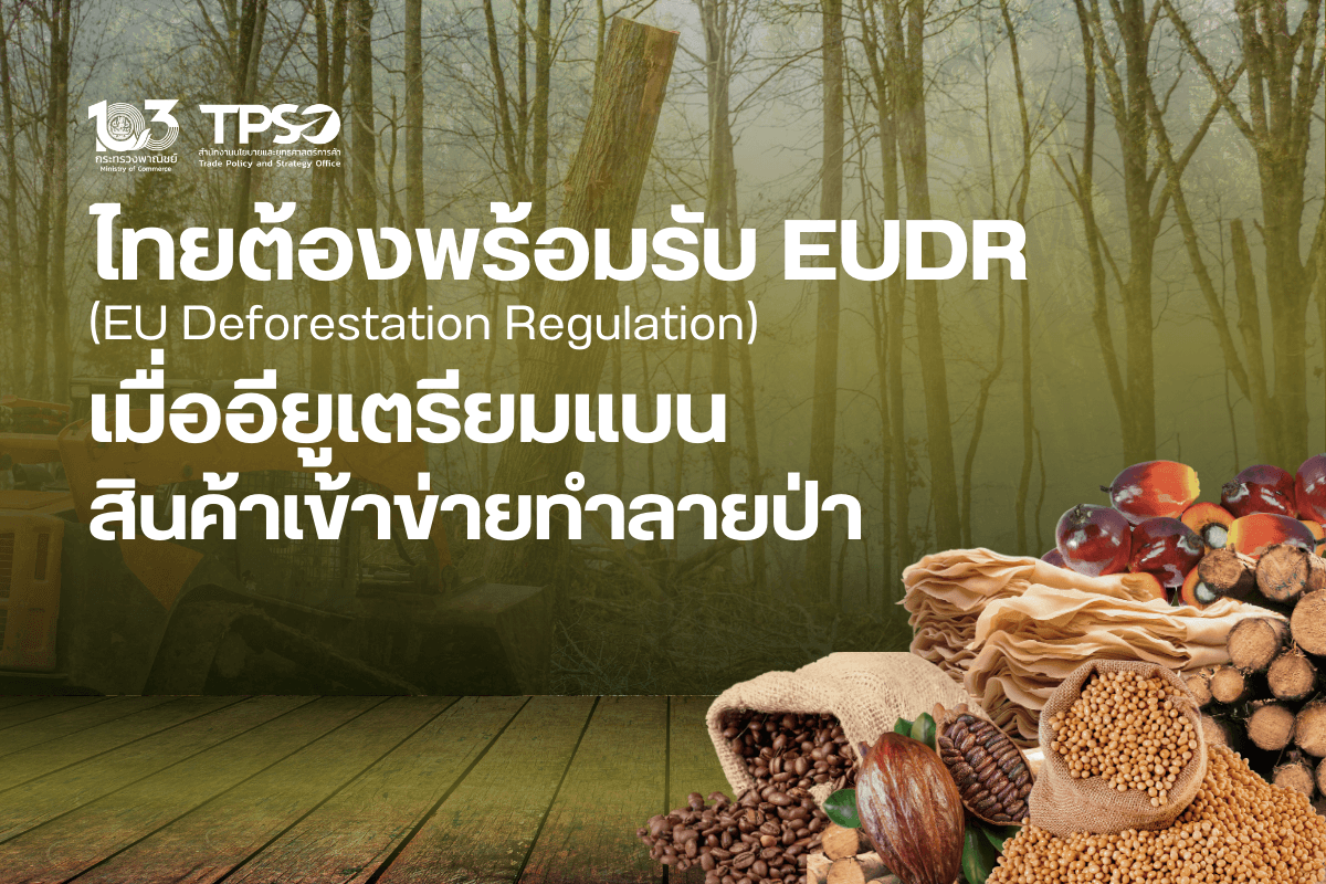 <p><strong>ดาวน์โหลดข้อมูลฉบับเต็ม: </strong><a href="https://uploads.tpso.go.th/ไทยต้องพร้อมรับ EUDR เมื่ออียูเตรียมแบนสินค้าเข้าข่ายทำลายป่า V2.pdf" target="_blank">ไทยต้องพร้อมรับ EUDR เมื่ออียูเตรียมแบนสินค้าเข้าข่ายทำลายป่า V2.pdf</a></p>
<p> นายพูนพงษ์ นัยนาภากรณ์ ผู้อำนวยการสำนักงานนโยบายและยุทธศาสตร์การค้า (สนค.) เปิดเผยว่า สนค. ได้ติดตามสถานการณ์การส่งออกสินค้าเกษตรไทยภายใต้กฎหมายว่าด้วยสินค้าที่ปลอดจากการตัดไม้ทำลายป่า หรือ EUDR (EU Deforestation Regulation) ของสหภาพยุโรป (อียู) ซึ่งได้มีผลบังคับใช้เมื่อวันที่ 29 มิถุนายน 2566 และจะมีผลในทางปฏิบัติตั้งแต่วันที่ 30 ธันวาคม 2567</p>
<p> มาตรการ EUDR ครอบคลุม 7 กลุ่มสินค้า คือ โกโก้ กาแฟ ถั่วเหลือง ยางพารา ปาล์มน้ำมัน โค และไม้ รวมถึงผลิตภัณฑ์แปรรูปของสินค้าเหล่านี้ โดยในปี 2565 ไทยมีการส่งออกสินค้าที่อยู่ภายใต้มาตรการ EUDR ไปอียู รวมมูลค่า 724.73 ล้านเหรียญสหรัฐ เพิ่มขึ้นร้อยละ 8.34 จากปีก่อนหน้า เรียงตามมูลค่าการส่งออกสูงสุด ดังนี้ (1) ยางพารา 657.02 ล้านเหรียญสหรัฐ (2) ไม้ 43.11 ล้านเหรียญสหรัฐ (3) ปาล์มน้ำมัน 21.39 ล้านเหรียญสหรัฐ (4) โกโก้ 2.89 ล้านเหรียญสหรัฐ (5) กาแฟ 0.32 ล้านเหรียญสหรัฐ และ (6) ถั่วเหลือง 0.002 ล้านเหรียญสหรัฐ ส่วนโคเป็นสินค้าที่ไทยไม่มีการส่งออกไปอียู (จัดกลุ่มสินค้าตามพิกัดศุลกากรที่ระบุใน Regulation (EU) 2023/1115)</p>
<p> สำหรับปี 2566 การส่งออกสินค้าภายใต้มาตรการ EUDR จากไทยไป EU มีมูลค่า 455.58 ล้านเหรียญสหรัฐ หดตัวร้อยละ 37.14 จากปีก่อนหน้า โดยเรียงตามมูลค่าการส่งออกสูงสุด ดังนี้ (1) ยางพารา 386.55 ล้านเหรียญสหรัฐ (มีสัดส่วนร้อยละ 84.85 ของมูลค่าการส่งออกสินค้าภายใต้มาตรการ EUDR ทั้งหมด) (2) ไม้ 61.53 ล้านเหรียญสหรัฐ (3) โกโก้ 3.63 ล้านเหรียญสหรัฐ (4) ปาล์มน้ำมัน 3.48 ล้านเหรียญสหรัฐ (5) กาแฟ 0.36 ล้านเหรียญสหรัฐ และ (6) ถั่วเหลือง 0.02 ล้านเหรียญสหรัฐ โดยสินค้าที่มีมูลค่าการส่งออกไปอียูมากที่สุดในกลุ่ม คือ ยางพารา และไม้ ซึ่งในปี 2566 การส่งออกยางพารา หดตัวร้อยละ 41.17 สอดคล้องกับการส่งออกยางพาราจากไทยไปโลกที่หดตัวเช่นกัน โดยมีสาเหตุสำคัญมาจากอุปสงค์โลกชะลอตัว ขณะที่ การส่งออกไม้จากไทยไปอียู ขยายตัวร้อยละ 42.73</p>
<p> มาตรการ EUDR ใช้กับผู้ประกอบการ (Operators) และผู้ค้า (Traders) ที่จะวางจำหน่ายสินค้าในตลาดอียู โดยสินค้าต้องผ่านเงื่อนไข 3 ข้อ คือ (1) สินค้าต้องไม่มาจากการบุกรุกพื้นที่ป่า (2) สินค้าต้องมีกระบวนการผลิตที่ถูกต้องตามกฎหมายของประเทศผู้ผลิต และ (3) ต้องมีการตรวจสอบและประเมินสินค้า (Due Diligence)</p>
<p> ในส่วนของการทำ Due Diligence ต้องมีการดำเนินการใน 3 ส่วน คือ (1) การรวบรวมข้อมูลของสินค้า (Data Collection) (เช่น รายละเอียดสินค้า ประเทศผู้ผลิต พิกัดภูมิศาสตร์ของที่ดินที่ใช้เพาะปลูก ข้อมูลที่ยืนยันว่าสินค้าไม่ได้มาจากการบุกรุกพื้นที่ป่า และข้อมูลที่ยืนยันว่าสินค้าผลิตถูกต้องตามกฎหมายของประเทศผู้ผลิต) (2) การประเมินความเสี่ยง (Risk Assessment) บนพื้นฐานของข้อมูลที่รวบรวม เพื่อให้แน่ใจว่าสินค้าที่จะวางจำหน่ายในตลาดอียูเป็นไปตามที่กฎหมายกำหนด รวมทั้งประเมินความเสี่ยงจากการมีสินค้าที่ไม่เป็นไปเงื่อนไขที่อาจปะปนมา และ (3) การลดความเสี่ยง (Risk Mitigation) โดยหากพบความเสี่ยง จะต้องดำเนินการเพื่อลดความเสี่ยงลงมาให้อยู่ในระดับที่ยอมรับได้ (เช่น หาข้อมูล และสำรวจตรวจสอบเพิ่มเติม และต้องจัดทำเอกสารเกี่ยวกับกระบวนการและมาตรการลดความเสี่ยง)</p>
<p> สำหรับการดำเนินการของไทยในฐานะประเทศผู้ผลิตและผู้ส่งออกสินค้า ต้องจัดเตรียมข้อมูลตามเงื่อนไขของกฎหมาย EUDR ให้พร้อม เนื่องจากผู้ประกอบการและผู้ค้าอียู จะซื้อสินค้าจากผู้ผลิตที่สามารถให้ข้อมูลตามที่กฎหมายกำหนด ซึ่งข้อมูลสำคัญที่จะต้องเตรียมให้มี คือ ข้อมูลเพื่อยืนยันว่าสินค้าไม่ได้มาจากการบุกรุกพื้นที่ป่า โดยในปัจจุบัน ประเทศไทยมีระบบลงทะเบียนที่สามารถนำมาใช้เป็นพื้นฐานรองรับมาตรการ EUDR ได้แก่ ระบบลงทะเบียนแหล่งปลูกไม้ ผ่านแอปพลิเคชันอี-ทรี (e-TREE) ของกรมป่าไม้ และระบบสารสนเทศทางภูมิศาสตร์ (Rubber Authority of Thailand (RAOT) GIS) ของการยางแห่งประเทศไทย</p>
<p> นายพูนพงษ์ กล่าวทิ้งท้ายว่า มูลค่าการส่งออกสินค้าภายใต้มาตรการ EUDR จากไทยไปอียู ประมาณร้อยละ 85-90 คือ ยางพารา รองลงมา คือ ผลิตภัณฑ์ไม้ ส่วนสินค้าอื่นยังมีสัดส่วนน้อย ดังนั้น ในระยะแรก ผู้ผลิตและผู้ส่งออกสินค้ายางพารา และผลิตภัณฑ์ไม้ มีแนวโน้มจะได้รับผลกระทบมากกว่า ขณะเดียวกันสินค้าสองกลุ่มนี้ มีความเชื่อมโยงกับอุตสาหกรรมปลายน้ำจำนวนมาก ซึ่งอาจสร้างความซับซ้อน และก่อให้เกิดต้นทุนในการตรวจสอบย้อนกลับของห่วงโซ่การผลิตสินค้าปลายน้ำตามมา อียูถือเป็นผู้นำและเป็นต้นแบบของโลกด้านการปกป้องคุ้มครองสิ่งแวดล้อม ซึ่งการออกกฎหมายของอียู จะเป็นตัวอย่างให้หลาย ๆ ประเทศออกกฎหมายในลักษณะเดียวกัน ดังนั้น ผู้ผลิตและผู้ส่งออกไทยต้องเตรียมพร้อมรับมือกับกฎหมายกฎระเบียบใหม่ ๆ เพื่อรักษาตลาดและแสวงหาโอกาสได้ทันท่วงที</p>