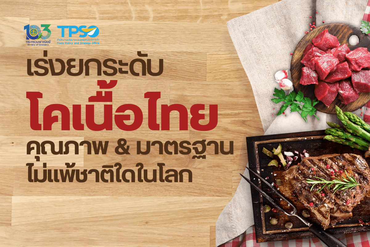 <p><strong>ดาวน์โหลดข้อมูลฉบับเต็ม: </strong><a href="https://uploads.tpso.go.th/ข่าว เร่งยกระดับโคเนื้อไทย คุณภาพ มาตรฐาน ไม่แพ้ชาติใดในโลก.pdf" target="_blank">ข่าว เร่งยกระดับโคเนื้อไทย คุณภาพ มาตรฐาน ไม่แพ้ชาติใดในโลก.pdf</a></p>
<p>          ความนิยมในการบริโภคสินค้าเนื้อโคของโลกมีแนวโน้มเพิ่มมากขึ้นอย่างต่อเนื่อง สอดคล้องกับสถิติตั้งแต่ปี 2562 – 2566 ที่พบว่าปริมาณการนำเข้าเนื้อโคของโลก เพิ่มขึ้นเฉลี่ยกว่า 3.24% ต่อปี โดยไทยถือเป็นอีกหนึ่งประเทศที่มีการส่งเสริมการผลิตโคเนื้อสำหรับการค้าและการบริโภคในประเทศ อย่างไรก็ดี ไทยยังมีความต้องการนำเข้าโคเนื้อและผลิตภัณฑ์จากต่างประเทศเป็นจำนวนมาก สนค. แนะภาครัฐและหน่วยงานที่เกี่ยวข้องร่วมมือเก็บข้อมูล วิจัยตลาดทั้งในและต่างประเทศ เพื่อวางกลยุทธ์การผลิตเชื่อมโยงการตลาดการค้าสินค้าโคเนื้อ สร้างความเชื่อมั่น และสร้างการรับรู้แก่ผู้บริโภคทั้งในและต่างประเทศให้รู้จักและหันมาบริโภคเนื้อโคของไทย ควบคู่กับการเตรียมพร้อมในการสร้างมาตรฐานเทียบเท่าโคเนื้อในตลาดโลก เพื่อเพิ่มมูลค่าและโอกาสในการส่งออกโคเนื้อของไทยให้มากขึ้น</p>
<p>          นายพูนพงษ์ นัยนาภากรณ์ ผู้อำนวยการสำนักงานนโยบายและยุทธศาสตร์การค้า (สนค.) กระทรวงพาณิชย์ เปิดเผยสถิติปี 2566 พบว่าโลกมีการนำเข้าเนื้อโคกว่า 10.35 ล้านตัน เพิ่มขึ้น 0.85% เมื่อเทียบกับปีก่อนหน้า ประเทศที่มีการนำเข้าสูงสุด ได้แก่ จีน 3.60 ล้านตัน (+2.80%) สหรัฐอเมริกา 1.64 ล้านตัน (+6.70%) และญี่ปุ่น 0.75 ล้านตัน (–3.47%) ส่วนไทยแม้จะมีผลิตภัณฑ์โคเนื้อเพื่อการค้าทั้งในและต่างประเทศ แต่ก็ยังไม่เพียงพอต่อความต้องการบริโภคภายในประเทศ</p>
<p>          จากสถิติการนำเข้าปี 2566 ไทยมีปริมาณและมูลค่าการนำเข้าเนื้อโคและผลิตภัณฑ์รวมกว่า 49,253 ตัน คิดเป็นมูลค่า 7,754.94 ล้านบาท ซึ่งทั้งปริมาณและมูลค่าลดลง 11.68% และ 12.97% ตามลำดับ เมื่อเทียบกับปีก่อนหน้า (ปี 2565 มีการนำเข้า 55,770 ตัน เป็นมูลค่า 8,910.92 ล้านบาท) ประเทศที่ไทยมีมูลค่าการนำเข้าสูงสุด ได้แก่ ออสเตรเลีย มูลค่า 5,402.75 ล้านบาท (21,449 ตัน) ญี่ปุ่น มูลค่า 782.77 ล้านบาท (21,450 ตัน) และนิวซีแลนด์ มูลค่า 740.26 ล้านบาท (4,719 ตัน) ตามลำดับ ผู้บริโภคไทยนิยมเนื้อโคเกรดพรีเมียม ชิ้นเนื้อใหญ่ เนื้อนุ่ม เนื้อสันมีไขมันแทรก (Marbling) ส่วนเนื้อโคสายพันธุ์ที่นิยมบริโภค เช่น เนื้อวากิวญี่ปุ่น เนื้อแองกัสออสเตรเลียและนิวซีแลนด์ เป็นต้น เนื่องจากมีความเชื่อมั่นในคุณภาพและมาตรฐานการผลิต</p>
<p>          นายพูนพงษ์ฯ กล่าวว่าหน่วยงานที่เกี่ยวข้อง มีความพยายามในการดำเนินโครงการเพื่อส่งเสริมและยกระดับคุณภาพมาตรฐานด้านการผลิต ล่าสุด เดือนธันวาคม 2566 กระทรวงเกษตรและสหกรณ์ เปิดเผยข้อมูลว่าประเทศไทยมีเกษตรกรผู้เลี้ยงโคเนื้อ 1.4 ล้านราย ส่วนใหญ่อยู่ภาคอีสาน ขณะที่ผลิตโคเนื้อได้มากกว่า 9.57 ล้านตัว และพยายามปรับปรุงพันธุ์โคเนื้อที่เลี้ยงในไทย ให้สามารถผลิตเนื้อที่มีคุณภาพเทียบเคียงกับเนื้อนำเข้าจากต่างประเทศหลากหลายสายพันธุ์มากขึ้น อาทิ เนื้อโคขุนโพนยางคำจากจังหวัดสกลนคร เนื้อโคราชวากิว นอกจากนี้ เนื้อโคคุณภาพดีของไทยยังได้รับคัดเลือกให้เป็นเมนูอาหารขึ้นโต๊ะต้อนรับผู้นำระดับโลกในการประชุม “APEC 2022” ขณะเดียวกันมีการปรับปรุงพันธุ์โคเนื้อ “โคดำลำตะคอง” จากนวัตกรรมการผสม 3 สายพันธุ์ ได้แก่ โคพื้นเมือง วากิว และแองกัส ถือเป็นตัวอย่างการพัฒนาการเลี้ยงโคเนื้อคุณภาพสูง รองรับความต้องการบริโภคในประเทศที่เปลี่ยนไปในทิศทางพรีเมียมมากขึ้น ซึ่งอาจช่วยทดแทนการนำเข้าจากต่างประเทศได้มากขึ้นเรื่อย ๆ ในอนาคต</p>
<p>          นอกจากการยกระดับคุณภาพมาตรฐานเพื่อทดแทนการนำเข้าแล้ว สิ่งที่น่าสนใจสำหรับผู้ประกอบการและเกษตรกรไทย คือ การเตรียมความพร้อมในการยกระดับเพื่อส่งเสริมการส่งออกสินค้าโคเนื้อให้มากขึ้นในอนาคต ปัจจุบันตลาดที่น่าสนใจสำหรับไทยคือตลาดในภูมิภาคเอเชีย อาทิ จีน ที่มีความต้องการเพิ่มขึ้นทุกปี และเป็นประเทศที่มีการบริโภคมากที่สุดอันดับสองของโลก (รองจากสหรัฐฯ) ข้อมูลล่าสุด พบว่า ในปี 2566 ปริมาณการผลิตเนื้อวัวของจีนอยู่ที่ 7.50 ล้านตัน2 ขณะที่ ความต้องการบริโภคของจีนมีมากถึง 11.06 ล้านตัน แสดงให้เห็นว่า แม้จีนจะผลิตโคเนื้อเป็นจำนวนมากแต่ก็ไม่เพียงพอต่อความต้องการบริโภคในประเทศ ดังนั้น เพื่อตอบสนองความต้องการของตลาดที่เติบโตเร็ว ประกอบกับราคาเนื้อวัวนำเข้ามีราคาต่ำกว่าในประเทศ ทำให้จีนมีการนำเข้าเพิ่มขึ้นอย่างต่อเนื่อง อย่างไรก็ดี การนำเข้าของจีนให้ความสำคัญต่อทั้งปริมาณและคุณภาพ กล่าวคือ ต้องมีปริมาณเพียงพอมีมาตรฐานและมีการรับประกันคุณภาพด้วย ขณะเดียวกัน จีนก็มีข้อจำกัดในการนำเข้า อาทิ เป็นสายพันธุ์ลูกผสมพื้นเมือง แองกัส ชาร์โรเล่ส์ บราห์มัน ซิมเมนทอล แบรงกัส หรือพันธุ์พื้นเมืองของไทย ลาว อินเดีย และมีน้ำหนักไม่ต่ำกว่า 350 – 400 กิโลกรัม วัวต้องแข็งแรง กล้ามเนื้อแน่น แผ่นหลังมีเนื้อเต็ม ผิวลื่นสวย และต้องปลอดโรคปากและเท้าเปื่อย (FDM) และโรคติดต่ออื่น ๆ จึงถือเป็นโอกาสของไทย ซึ่งไทยต้องเร่งเตรียมความพร้อมในเรื่องห่วงโซ่อุปทานที่เกี่ยวข้อง เช่น โรงเชือดเพื่อส่งออก วัคซีน และการตรวจสอบย้อนกลับที่มาของโคเนื้อ เพื่อรองรับการผลิตจำนวนมาก การดูแลและรักษาผลิตภัณฑ์ให้ได้มาตรฐาน และปลอดภัยตามข้อกำหนดของจีน</p>
<p>          นายพูนพงษ์ฯ กล่าวทิ้งท้ายว่า การวิจัยทางการตลาด เป็นเครื่องมือหนึ่งที่ช่วยการวางแผนกลยุทธ์และ การพัฒนาการผลิตและการตลาด ตลอดจนความต้องการและรสนิยมของผู้บริโภคในแต่ละภูมิภาคทั่วโลกได้อย่างมีประสิทธิภาพ เช่นเดียวกับการส่งเสริมการออกกฎระเบียบในการติดตามตรวจสอบโคเนื้อ และการลงทุนเพื่อพัฒนาระบบหรือนวัตกรรมสำหรับตรวจสอบย้อนกลับ (Traceability) เพื่อสร้างความเชื่อมั่นให้แก่ผู้บริโภค ซึ่งระบบดังกล่าวอาจเป็นอีกเครื่องมือที่ช่วยป้องกันการลักลอบการนำเข้าโคเนื้อผิดกฎหมาย ที่ส่งผลกระทบต่อราคาในประเทศ อีกทั้งป้องกันการใช้สารเร่งเนื้อแดงที่เป็นอันตรายต่อผู้บริโภคด้วย นอกจากนี้ หากเชื่อมโยงสินค้าโคเนื้อไทยกับอุตสาหกรรมอื่น ๆ ให้มากขึ้น เช่น ส่งเสริมโคเนื้อไทยให้เป็นอีกหนึ่งซอฟต์พาวเวอร์ด้านอาหาร ควบคู่กับวัฒนธรรมการบริโภคแบบไทยและอุตสาหกรรมการท่องเที่ยว รวมทั้งเร่งโปรโมทคุณภาพโคเนื้อไทยให้เป็นที่รู้จักในระดับนานาชาติ และกำหนดนโยบายการส่งเสริมและพัฒนาการเลี้ยงให้ได้มาตรฐานการค้า โดยเฉพาะในพื้นที่จังหวัดที่มีจำนวนเกษตรกรผู้เลี้ยงโคเนื้อเป็นจำนวนมาก ก็จะช่วยให้เศรษฐกิจจังหวัดขยายตัว ส่งผลต่อคุณภาพชีวิตที่ดี และยกระดับรายได้ของประชาชนได้อย่างมีประสิทธิภาพและยั่งยืนมากขึ้น</p>