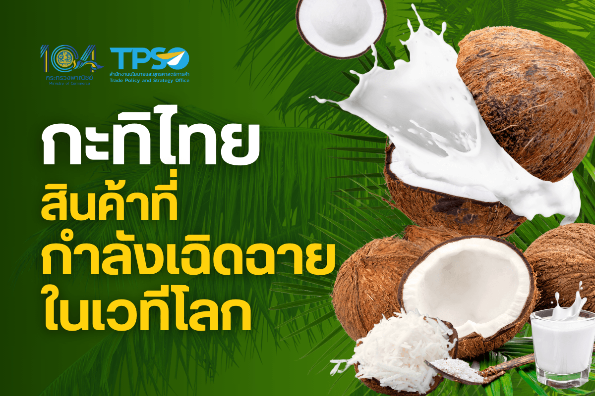 <p><strong>ดาวน์โหลดข้อมูลฉบับเต็ม: </strong><a href="https://uploads.tpso.go.th/กะทิไทย สินค้าที่กำลังเฉิดฉายในเวทีโลก.pdf" target="_blank">กะทิไทย สินค้าที่กำลังเฉิดฉายในเวทีโลก.pdf</a></p>
<p>          <strong>การส่งออกกะทิไทยขยายตัวต่อเนื่อง จากการเติบโตของอุตสาหกรรมอาหารโลก สนค. แนะผู้ประกอบการให้ความสำคัญในกระบวนการผลิตมะพร้าวตามมาตรฐานสากลและที่คู่ค้ากำหนด เพื่อคว้าโอกาสเพิ่มการส่งออกไปตลาดโลกมากขึ้น</strong></p>
<p>          นายพูนพงษ์ นัยนาภากรณ์ ผู้อำนวยการสำนักงานนโยบายและยุทธศาสตร์การค้า กระทรวงพาณิชย์ เปิดเผยว่า สนค. ได้ติดตามสถานการณ์การค้าสินค้ามะพร้าวและผลิตภัณฑ์แปรรูป โดยปี 2566 ไทยมีผลผลิตมะพร้าว 0.94 ล้านตัน ขณะที่มีความต้องการใช้<sup>1</sup> ประมาณ 1.14 ล้านตัน (เพิ่มขึ้นร้อยละ 5.35 จากปี 2565) ความต้องการใช้ของไทยแบ่งเป็นการบริโภคในประเทศ ร้อยละ 38<sup>2</sup> และการใช้เพื่อส่งออก ร้อยละ 62 </p>
<p>          ในปี 2566 ไทยส่งออกกะทิ<sup>3</sup> เป็นมูลค่า 353.54 ล้านเหรียญสหรัฐ (12,208 ล้านบาท) สำหรับ 10 เดือนแรกของปี 2567 (ม.ค. – ต.ค.) ไทยส่งออกกะทิไปยัง 131 ประเทศทั่วโลก เป็นมูลค่า 341.11 ล้านเหรียญสหรัฐ (12,064 ล้านบาท) เพิ่มขึ้นร้อยละ 16.85 จากปีก่อนหน้า ส่วนใหญ่ไทยส่งออกกะทิสำเร็จรูป (มีสัดส่วนถึงร้อยละ 93.13) กะทิสำเร็จรูปเป็นสินค้าศักยภาพและมีมูลค่าการส่งออกเพิ่มขึ้นถึงร้อยละ 42.26 และ 18.12 ในปี 2566 และ 2567 ตามลำดับ นอกจากนี้ กะทิสำเร็จรูปอินทรีย์ แม้ยังมีสัดส่วนการส่งออกน้อย แต่เป็นสินค้าที่น่าจับตามอง โดยในปี 2567 ไทยส่งออกกะทิสำเร็จรูปอินทรีย์ เพิ่มขึ้นร้อยละ 36.83 โดยมีตลาดส่งออกสำคัญ ได้แก่ สหรัฐอเมริกา (สัดส่วนร้อยละ 70.50) เนเธอร์แลนด์ (สัดส่วนร้อยละ 10.43) และสวิตเซอร์แลนด์ (สัดส่วนร้อยละ 6.21) </p>
<p>          การส่งออกกะทิของไทยแต่ละกลุ่ม สรุปได้ดังนี้ <br />
          <strong>(1) กะทิสำเร็จรูป</strong> <u>ปี 2566</u> ส่งออกมูลค่า 326.55 ล้านเหรียญสหรัฐ (11,277 ล้านบาท) เพิ่มขึ้นร้อยละ 42.26 และ<u>ในช่วง 10 เดือนแรกของปี 2567</u> ส่งออกมูลค่า 317.68 ล้านเหรียญสหรัฐ (11,235 ล้านบาท) เพิ่มขึ้นร้อยละ 18.12 มีสัดส่วนร้อยละ 93.13 ของมูลค่าการส่งออกกะทิทั้งหมดของไทย <br />
          <strong>(2) กะทิผง</strong> <u>ปี 2566</u> ส่งออกมูลค่า 8.78 ล้านเหรียญสหรัฐ (303 ล้านบาท) เพิ่มขึ้นร้อยละ 26.33 และ<u>ในช่วง 10 เดือนแรกของปี 2567</u> ส่งออกมูลค่า 7.58 ล้านเหรียญสหรัฐ (267 ล้านบาท) เพิ่มขึ้นร้อยละ 0.93 มีสัดส่วนร้อยละ 2.22 ของมูลค่าการส่งออกกะทิทั้งหมดของไทย <br />
          <strong>(3) กะทิสำเร็จรูปอินทรีย์</strong> <u>ปี 2566</u> ส่งออกมูลค่า 4.78 ล้านเหรียญสหรัฐ (165 ล้านบาท) ลดลงร้อยละ 20.07 และ<u>ในช่วง 10 เดือนแรกของปี 2567</u> การส่งออกกลับมาขยายตัว โดยมีมูลค่า 5.35 ล้านเหรียญสหรัฐ (189 ล้านบาท) เพิ่มขึ้นร้อยละ 36.83 มีสัดส่วนร้อยละ 1.57 ของมูลค่าการส่งออกกะทิทั้งหมดของไทย<br />
          <strong>(4) กะทิแช่แข็ง</strong> <u>ปี 2566</u> ส่งออกมูลค่า 1.75 ล้านเหรียญสหรัฐ (60.42 ล้านบาท) ลดลงร้อยละ 98.63 และ<u>ในช่วง 10 เดือนแรกของปี 2567</u> ส่งออกมูลค่า 0.45 ล้านเหรียญสหรัฐ (16.09 ล้านบาท) ลดลงร้อยละ 72.56 มีสัดส่วนร้อยละ 0.13 ของมูลค่าการส่งออกกะทิทั้งหมดของไทย<br />
          <strong>(5) กะทิอื่น ๆ</strong> <u>ปี 2566</u> ส่งออกมูลค่า 11.68 ล้านเหรียญสหรัฐ (403 ล้านบาท) เพิ่มขึ้นร้อยละ 5.51 และ<u>ในช่วง 10 เดือนแรกของปี 2567</u> ส่งออกมูลค่า 10.06 ล้านเหรียญสหรัฐ (357 ล้านบาท) เพิ่มขึ้นร้อยละ 1.51 มีสัดส่วนร้อยละ 2.95 ของมูลค่าการส่งออกกะทิทั้งหมดของไทย</p>
<p>          ทั้งนี้ ในช่วง 10 เดือนแรกของปี 2567 (ม.ค. – ต.ค.) ไทยส่งออกกะทิขยายตัวในตลาดคู่ค้าสำคัญ อาทิ <strong>สหรัฐอเมริกา</strong> ขยายตัวร้อยละ 24.21 (สัดส่วนการส่งออกร้อยละ 38.73) <strong>ออสเตรเลีย</strong> ขยายตัวร้อยละ 9.08 (สัดส่วนการส่งออกร้อยละ 7.53) <strong>แคนาดา</strong> ขยายตัวร้อยละ 22.92 (สัดส่วนการส่งออกร้อยละ 6.41) <strong>สหราชอาณาจักร</strong> ขยายตัวร้อยละ 3.49 (สัดส่วนการส่งออกร้อยละ 6.34) และ<strong>เนเธอร์แลนด์</strong> ขยายตัวร้อยละ 37.49 (สัดส่วนการส่งออกร้อยละ 3.53)</p>
<p>          การส่งออกกะทิที่เพิ่มขึ้น เป็นผลมาจากการเติบโตของอุตสาหกรรมอาหารทั่วโลก ข้อมูลจาก The Business Research Company<sup>4</sup> ระบุว่า ตลาดอาหารและเครื่องดื่มโลก ในปี 2567 มีอัตราการเติบโตร้อยละ 6.4 และคาดว่าปี 2571 จะมีอัตราการเติบโตร้อยละ 5.9 นอกจากนี้ กะทิยังมีสารอาหารที่เป็นประโยชน์หากบริโภคในปริมาณที่เหมาะสม อาทิ กรดไขมันอิ่มตัวสายกลาง (MCTs) ช่วยเพิ่มอัตราการเผาผลาญพลังงาน และกรดลอริก (Lauric Acid) ช่วยเสริมระบบภูมิคุ้มกันและให้พลังงานแก่ร่างกาย อีกทั้งยังเป็นผลิตภัณฑ์จากพืชที่ไม่มีกลูโคสหรือแล็กโทส จึงเหมาะสำหรับการใช้ทดแทนผลิตภัณฑ์จากนมบางชนิด </p>
<p>          ที่ผ่านมา ภาครัฐโดยกระทรวงเกษตรและสหกรณ์ ส่งเสริมการปลูกและผลิตมะพร้าวให้มีคุณภาพและมาตรฐานที่ทั่วโลกยอมรับ อาทิ การปลูกมะพร้าวพันธุ์ใหม่ที่มีต้นเตี้ยทดแทนสวนมะพร้าวเดิม ทำให้เก็บเกี่ยวง่ายและมีอายุการเก็บเกี่ยวยาวนานกว่า รวมถึงมีโครงการนำร่อง GAP-Monkey Free Plus (GAP-MFP) เพื่อรับรองแปลงผลิตมะพร้าวปลอดภัยและการเก็บมะพร้าวที่ไม่ได้ใช้ลิง ตลอดจนส่งเสริมให้เกษตรกรขอรับมาตรฐานดังกล่าว ควบคู่ไปกับการพัฒนาเครื่องมือเก็บมะพร้าวอีกด้วย </p>
<p>          นายพูนพงษ์ กล่าวทิ้งท้ายว่า เนื่องจากไม่มีพิกัดศุลกากรระดับสากลสำหรับสินค้ากะทิ ทำให้ ไม่สามารถเปรียบเทียบข้อมูลการค้ากะทิของโลกได้ชัดเจน อย่างไรก็ตาม ผู้ประกอบการไทยหลายรายเป็นผู้ส่งออกกะทิรายสำคัญของโลก<sup>5</sup> ขณะที่ภาคอุตสาหกรรมของไทยยังมีความต้องการนำเข้ามะพร้าว<sup>6</sup> สำหรับแปรรูปเป็นกะทิเพื่อส่งออก แสดงถึงศักยภาพของผู้ประกอบการไทยในการแปรรูปและส่งออกผลิตภัณฑ์กะทิ นอกจากนี้ หากทุกภาคส่วนให้ความสำคัญในกระบวนการผลิตมะพร้าว ตั้งแต่การปลูก การเก็บ และการแปรรูป ให้เป็นไปตามมาตรฐานสากลและสอดรับกับความต้องการของประเทศคู่ค้า รวมทั้งเพิ่มเติมประเด็นความรับผิดชอบต่อสังคมสิ่งแวดล้อม และการมีสวัสดิการแรงงานที่ดี ก็จะเพิ่มขีดความสามารถในการแข่งขันและผลักดันให้ไทยคว้าโอกาสการส่งออกไปยังตลาดโลกได้เพิ่มขึ้น </p>
<p> </p>
<hr />
<p><sup>1</sup> ข้อมูลจาก สศก.  https://www.oae.go.th/assets/portals/1/files/jounal/2567/commodity2566.pdf <br />
<sup>2</sup> การใช้เพื่อบริโภคในประเทศ แบ่งเป็น กะทิสด (ร้อยละ 25) กะทิสำเร็จรูป (ร้อยละ 10) อื่น ๆ (ร้อยละ 3)<br />
<sup>3</sup> กะทิ ประกอบด้วย กะทิสำเร็จรูป (2106.90.93.001) กะทิแช่แข็ง (2106.90.93.002) กะทิผง (2106.90.93.003) กะทิอื่นๆ (2106.90.93.090) และกะทิสำเร็จรูป (อินทรีย์) (2106.90.93.501)<br />
<sup>4</sup> https://www.thebusinessresearchcompany.com/report/food-and-beverages-global-market-report<br />
<sup>5</sup> https://www.alliedmarketresearch.com/coconut-milk-market-A11154<br />
<sup>6</sup> กรมการค้าภายใน ระบุว่า ปี 2566 ไทยนำเข้ามะพร้าว 0.18 ล้านตัน</p>
